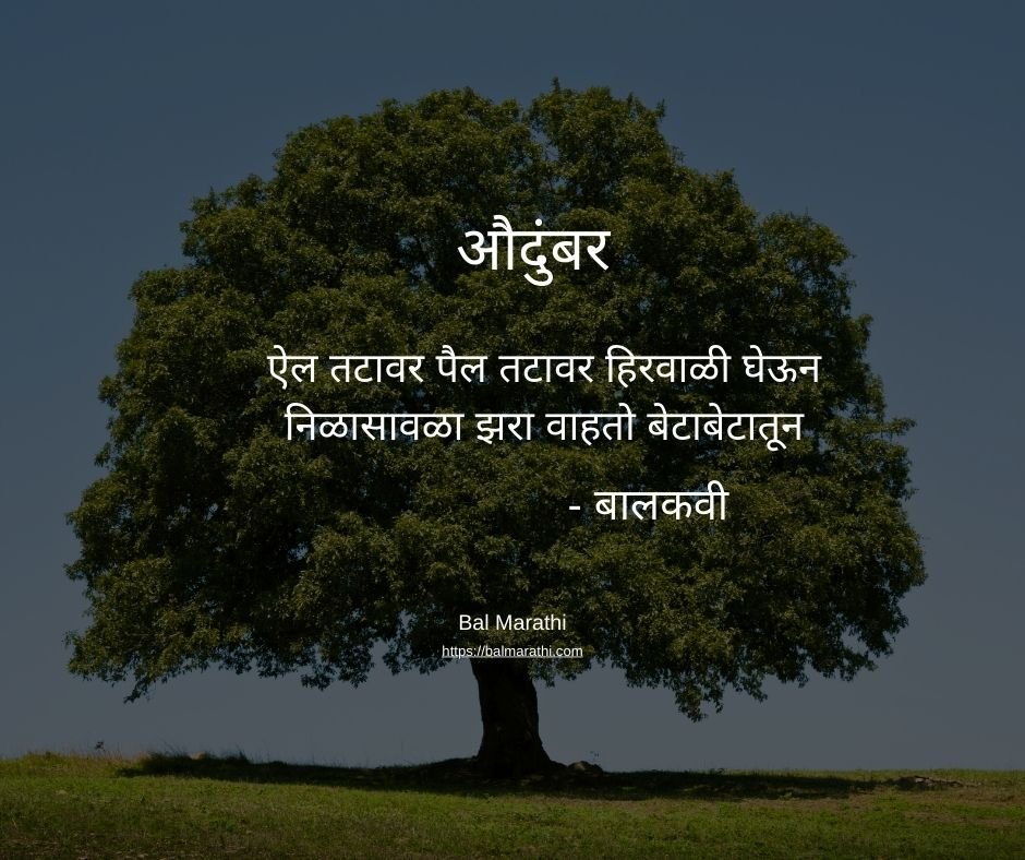 औदुंबर — बालकवींची मराठी कविता