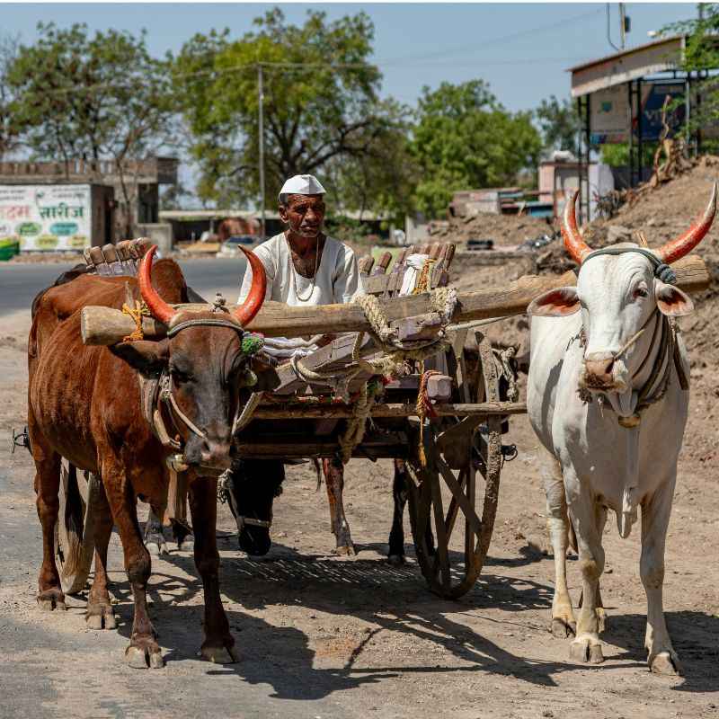 बैलगाडी — Bullock Cart