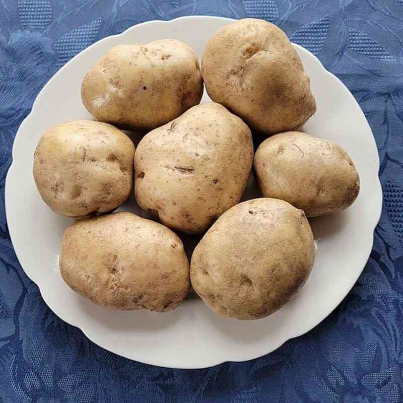 बटाटा — Potato