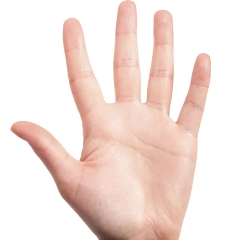 बोटे — Fingers