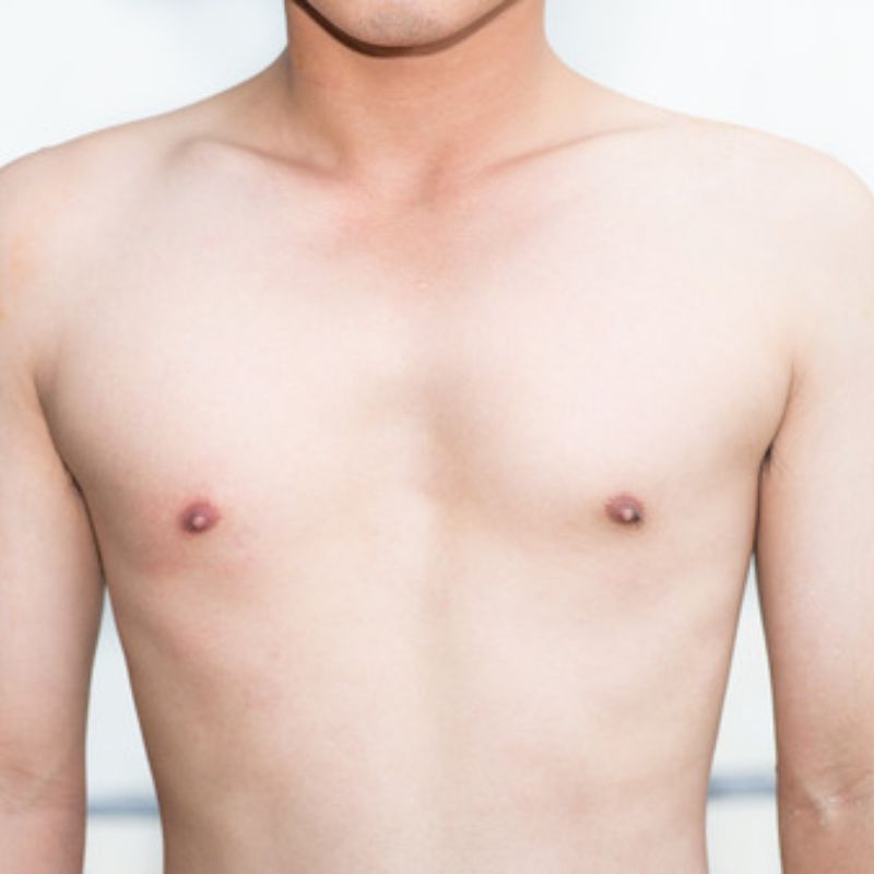 छाती — Chest