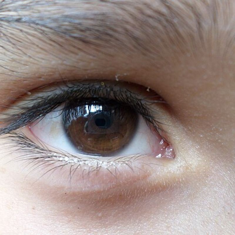 डोळे — Eyes