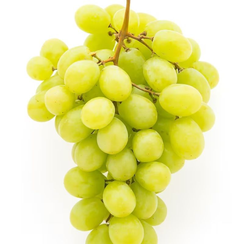 द्राक्षे — Grapes