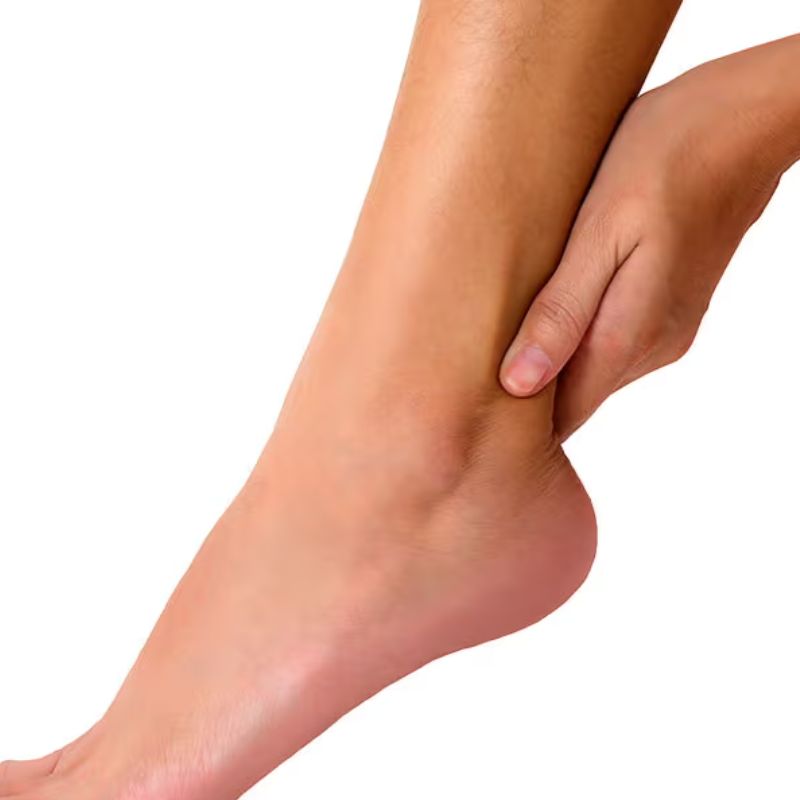 घोटा — Ankle
