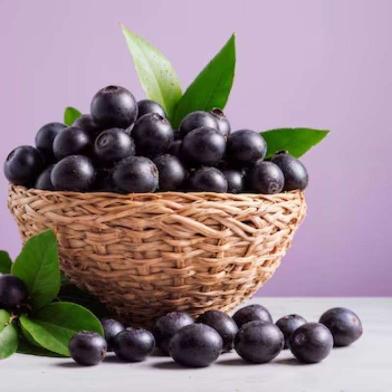 जांभूळ — Jamun
