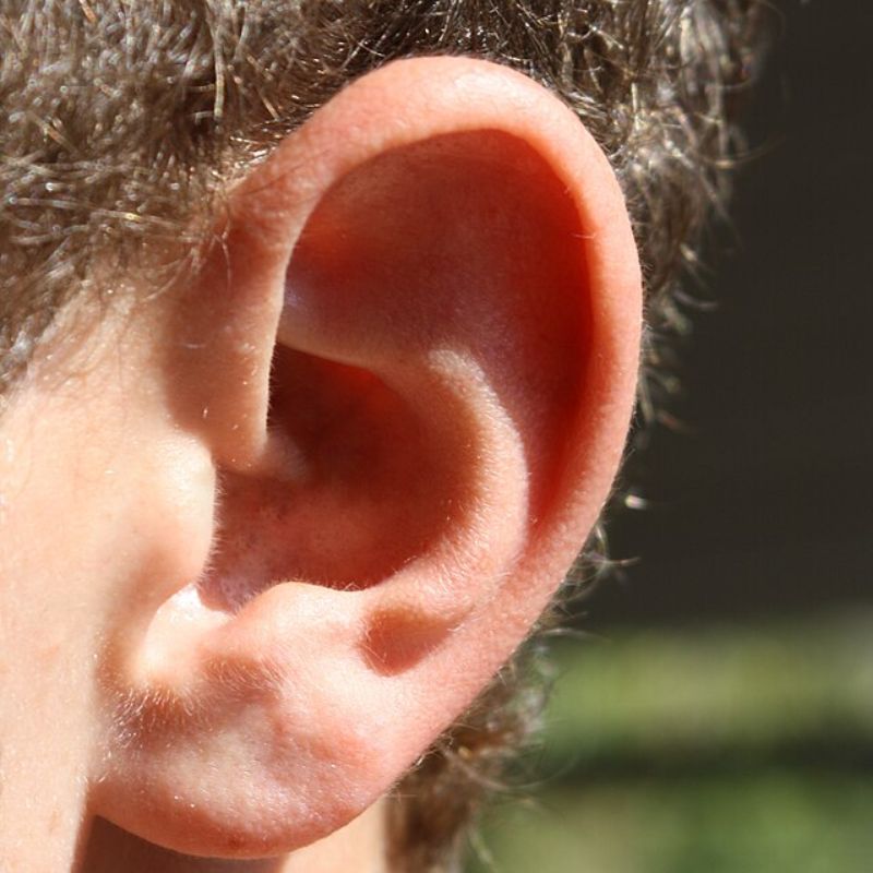 कान — Ear
