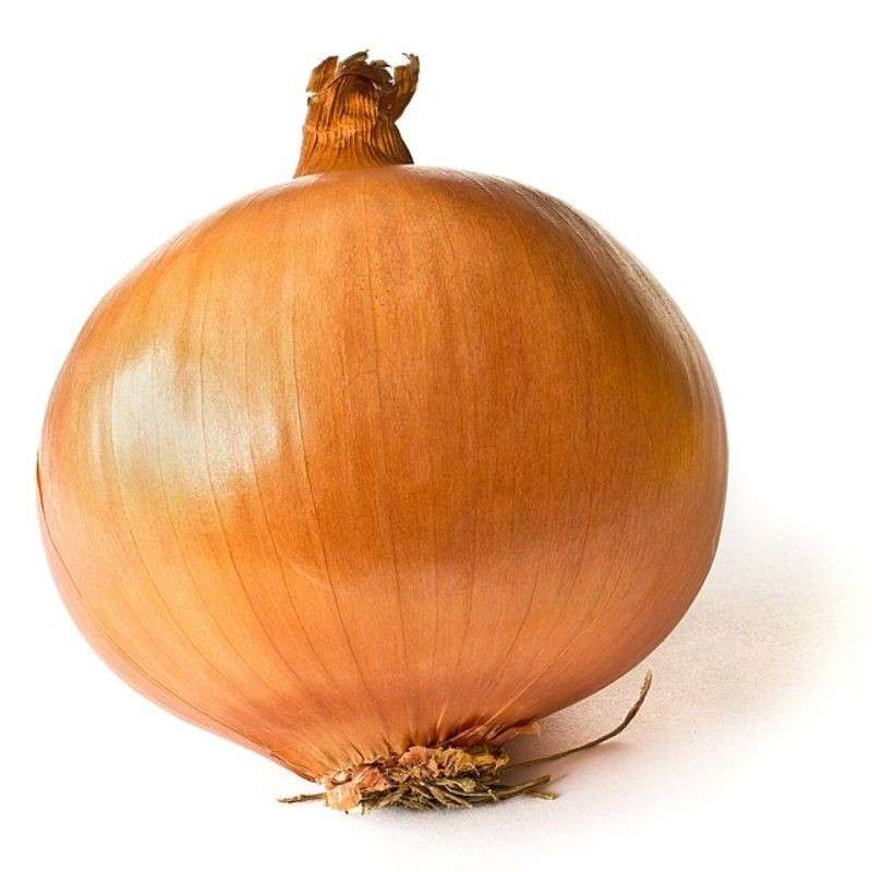 कांदा — Onion