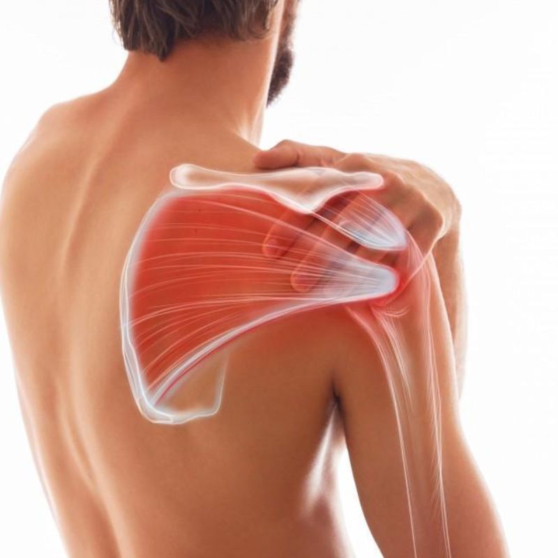 खांदा — Shoulder