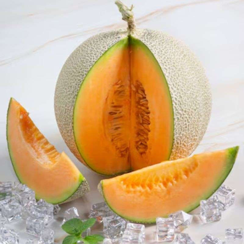 खरबूज — Muskmelon
