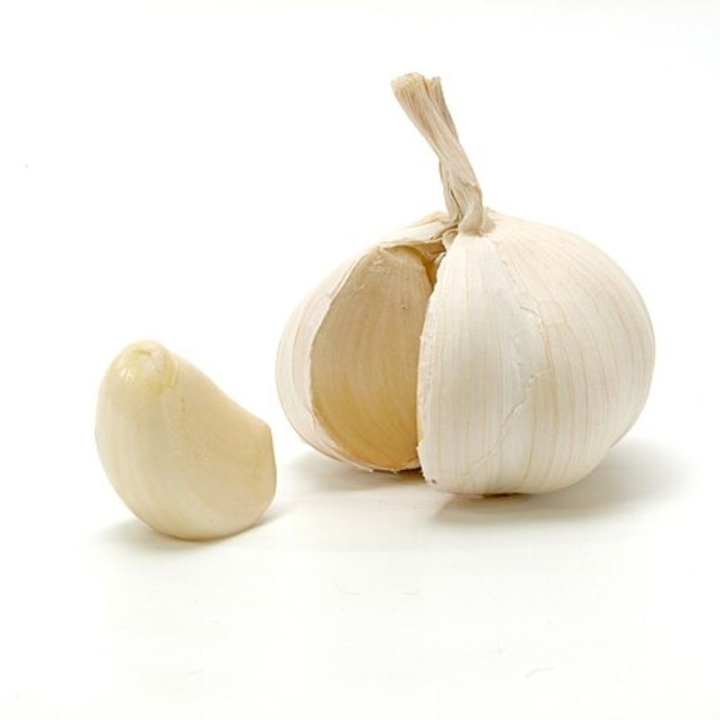 लसूण — Garlic