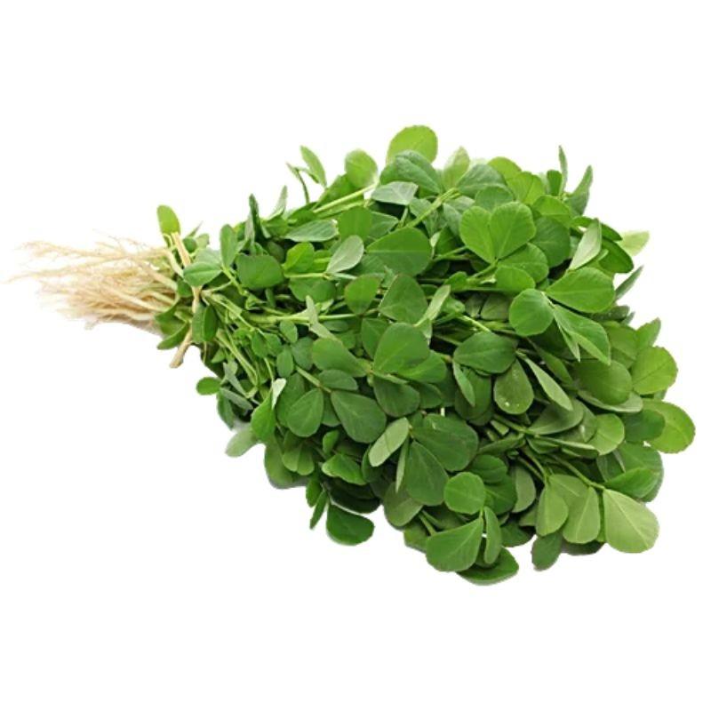 मेथी — Fenugreek