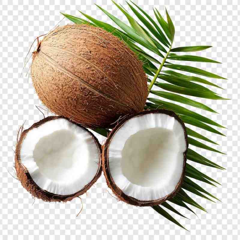 नारळ — Coconut