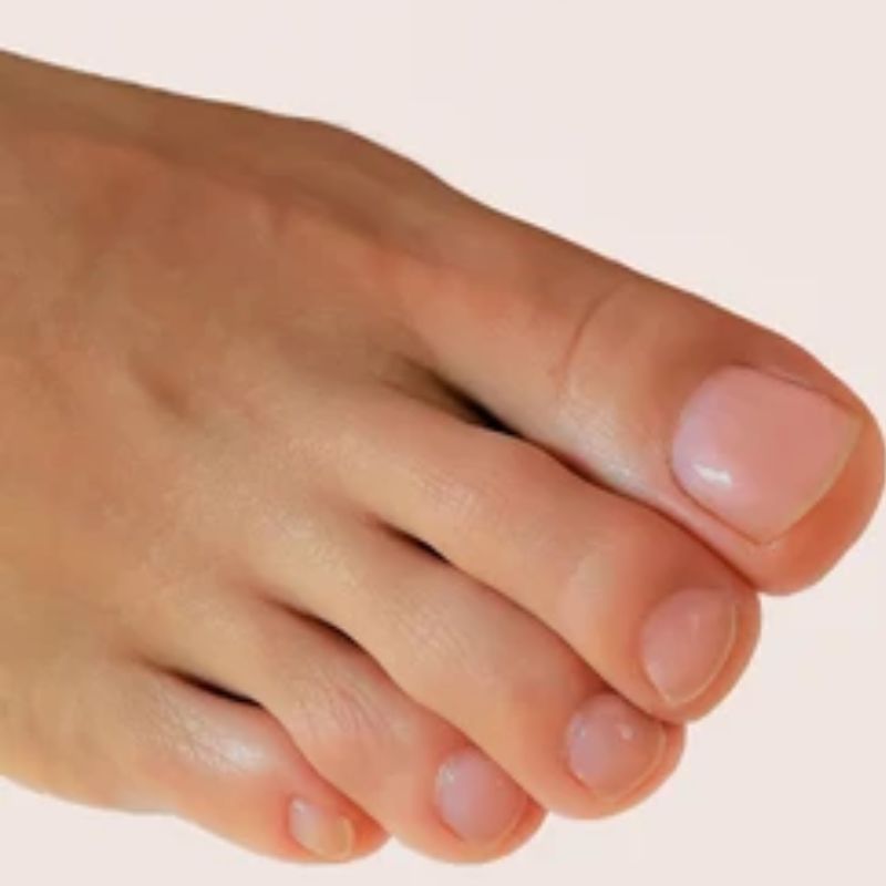 पायाची बोटे — Toes