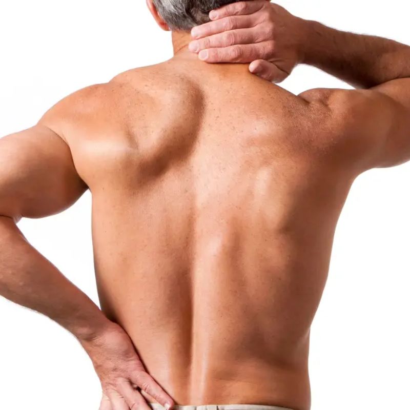 पाठ — Back