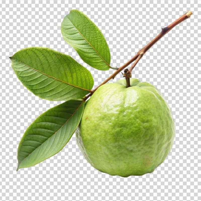 पेरू — Guava