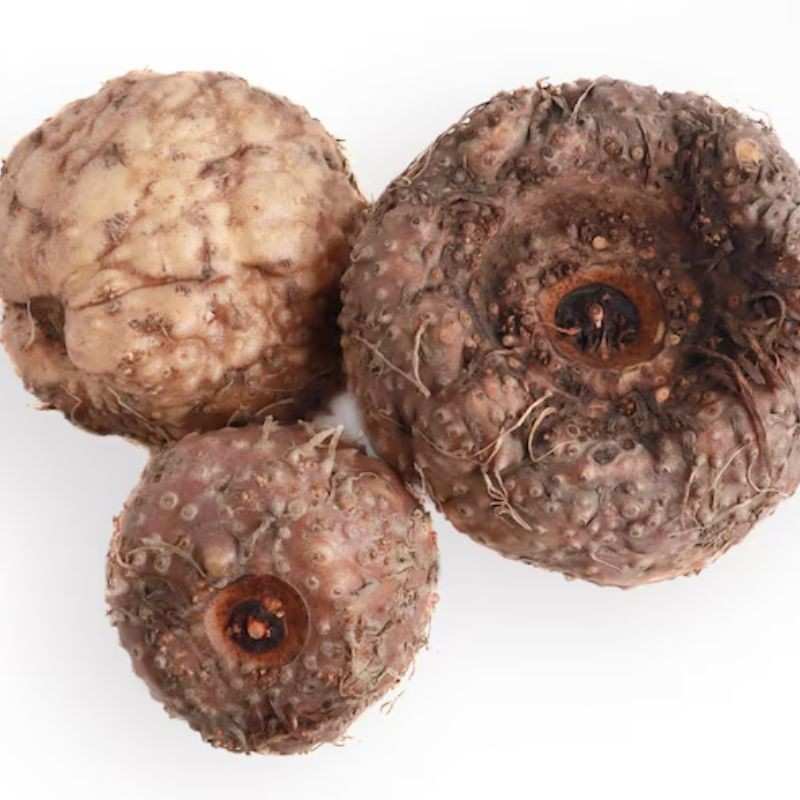 सुरण — Yam
