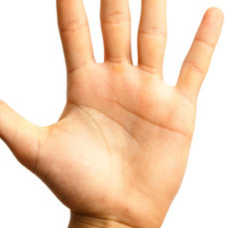 तळहात — Palm