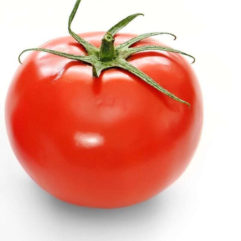 टोमॅटो — Tomato