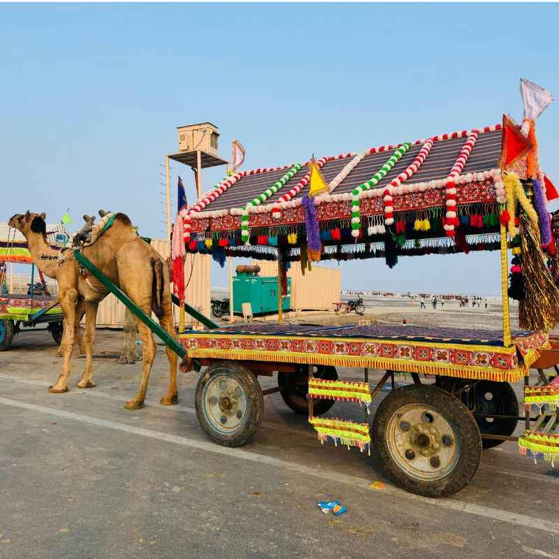 उंट गाडी — Camel Cart