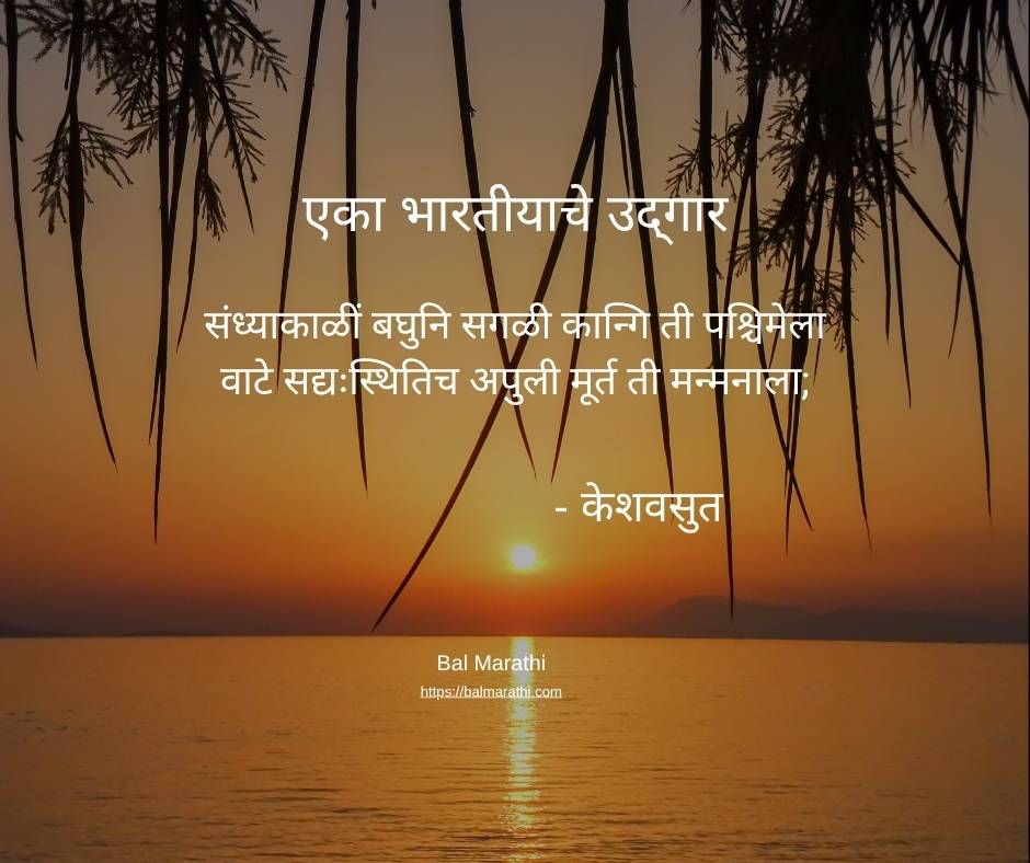 एका भारतीयाचे उद्‍गार