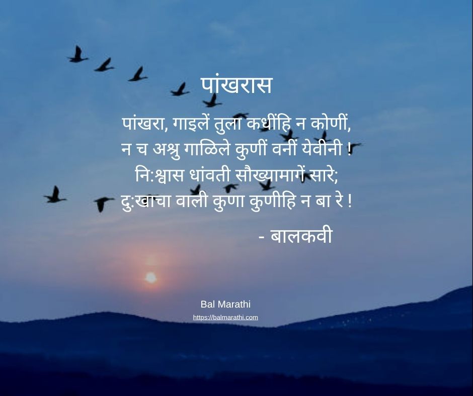 पांखरास