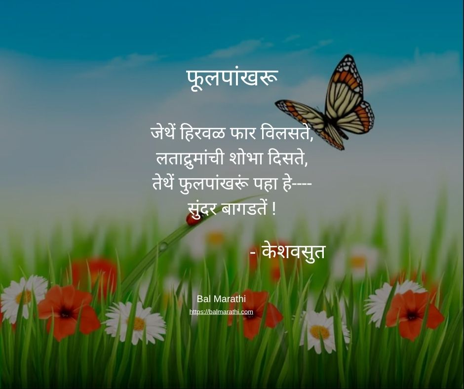 फूलपांखरू